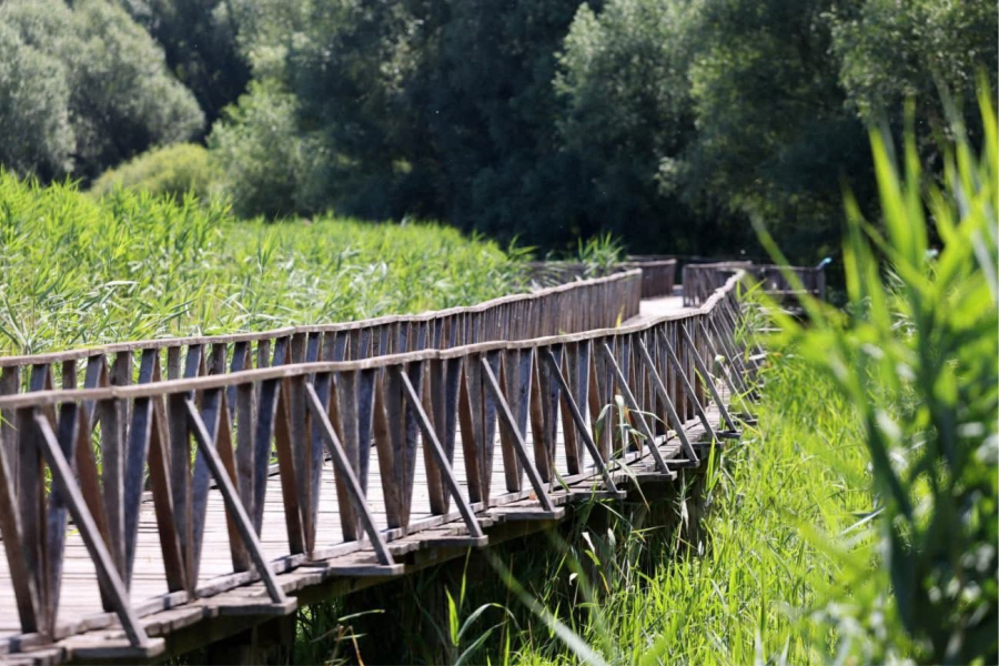 Pokrenut projekt restauracije vodenih ekosustava u Parku prirode Kopački rit vrijedan 8,66 milijuna eura