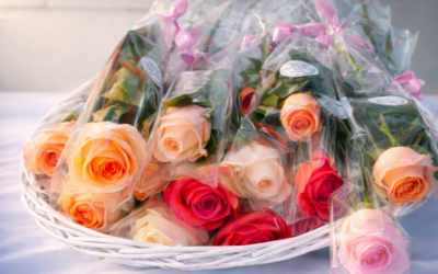 Povodom Međunarodnog dana žena u subotu podjela ruža na gradskom korzu