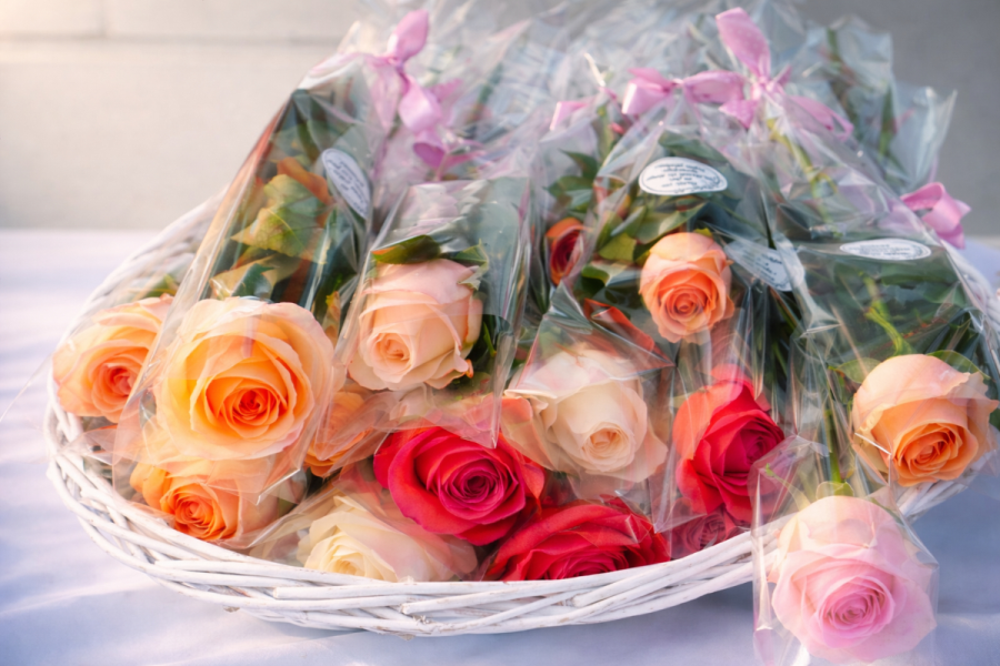 Povodom Međunarodnog dana žena u subotu podjela ruža na gradskom korzu