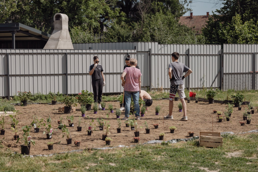 Centar za kulturu Đakovo dobiva novo zeleno ruho: Uređuje se dvorišni vrt