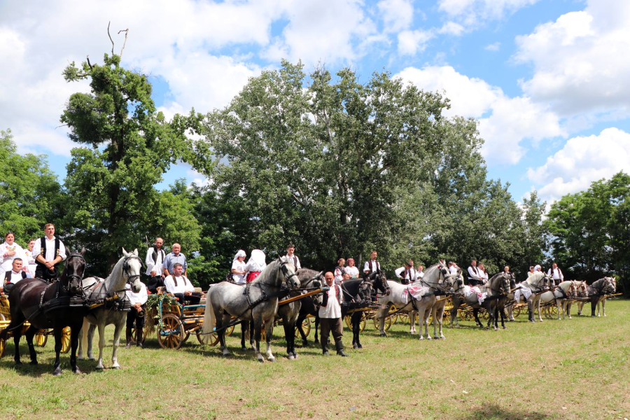 Smotra svatovskih zaprega “Konji bili” okupila brojne ljubitelje tradicije