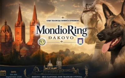 U Đakovu se ovog vikenda održava atraktivni Mondioring turnir