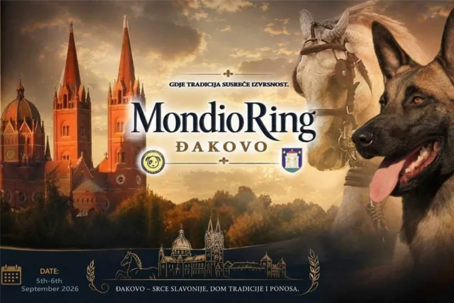 U Đakovu se ovog vikenda održava atraktivni Mondioring turnir